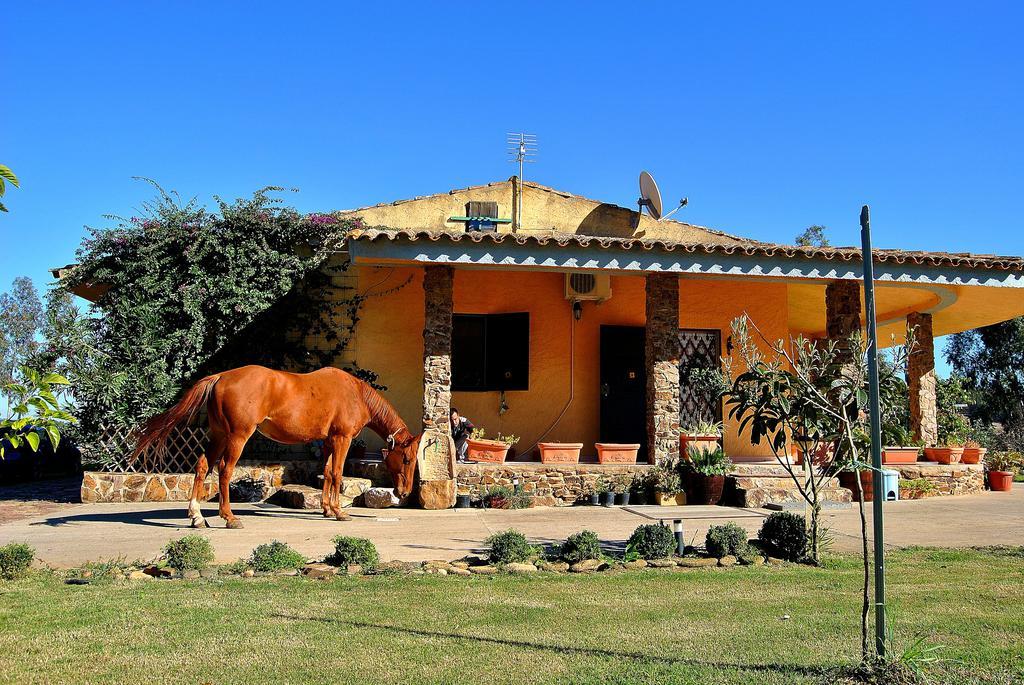 Agriturismo Monte Majore Siliqua Extérieur photo